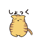 茶トラ猫の使いやすい可愛いスタンプ（個別スタンプ：16）