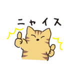 茶トラ猫の使いやすい可愛いスタンプ（個別スタンプ：28）