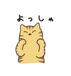 茶トラ猫の使いやすい可愛いスタンプ（個別スタンプ：29）