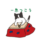ハチワレ猫の使いやすいかわいいスタンプ（個別スタンプ：5）