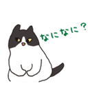 ハチワレ猫の使いやすいかわいいスタンプ（個別スタンプ：14）