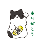 ハチワレ猫の使いやすいかわいいスタンプ（個別スタンプ：22）