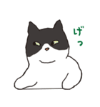 ハチワレ猫の使いやすいかわいいスタンプ（個別スタンプ：36）