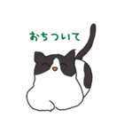 ハチワレ猫の使いやすいかわいいスタンプ（個別スタンプ：38）