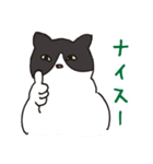 ハチワレ猫の使いやすいかわいいスタンプ（個別スタンプ：39）