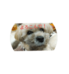 くりんの気持ち（個別スタンプ：1）