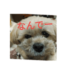 くりんの気持ち（個別スタンプ：2）