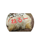 くりんの気持ち（個別スタンプ：4）