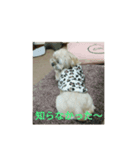くりんの気持ち（個別スタンプ：8）