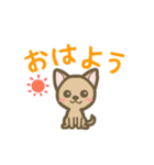 チワワのポチくん（個別スタンプ：1）