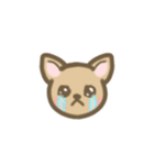 チワワのポチくん（個別スタンプ：12）