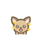 チワワのポチくん（個別スタンプ：14）