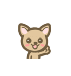 チワワのポチくん（個別スタンプ：21）