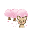 チワワのポチくん（個別スタンプ：28）