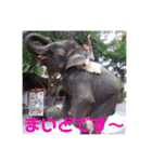 風船太郎・愛息子編（丁寧語）（個別スタンプ：2）