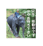 風船太郎・愛息子編（丁寧語）（個別スタンプ：20）