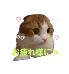 むぎちゃん(安眠猫)（個別スタンプ：2）
