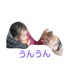 我が家のワンコstamp（個別スタンプ：6）