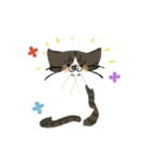 犬と猫の日常(英語)（個別スタンプ：11）