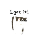 犬と猫の日常(英語)（個別スタンプ：12）