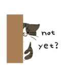 犬と猫の日常(英語)（個別スタンプ：13）