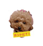 文字シンプルすたんぷ（個別スタンプ：24）