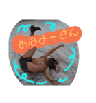 むさスベるすたんぷ（個別スタンプ：8）