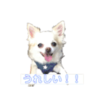 ぷっちゃんです！（個別スタンプ：2）