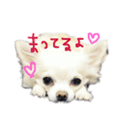 ぷっちゃんです！（個別スタンプ：10）