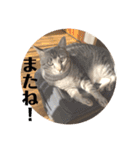 カイとリク第三弾（個別スタンプ：8）