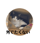 カイとリク第三弾（個別スタンプ：10）