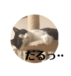 カイとリク第三弾（個別スタンプ：14）
