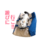 キリハクネリ2（個別スタンプ：5）