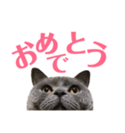 キリハクネリ2（個別スタンプ：18）
