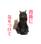 キリハクネリ2（個別スタンプ：23）