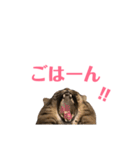 キリハクネリ2（個別スタンプ：28）