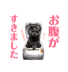 キリハクネリ2（個別スタンプ：29）