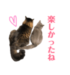 キリハクネリ2（個別スタンプ：36）