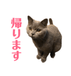 キリハクネリ2（個別スタンプ：39）