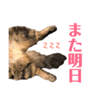 キリハクネリ2（個別スタンプ：40）