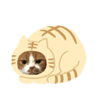 動物スタンプ！！！！（個別スタンプ：3）