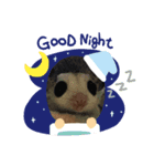 動物スタンプ！！！！（個別スタンプ：7）