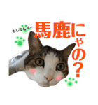ウチの子Mix byオハナビーズ（個別スタンプ：1）