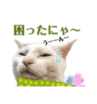 ウチの子Mix byオハナビーズ（個別スタンプ：2）