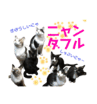 ウチの子Mix byオハナビーズ（個別スタンプ：20）