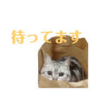 ディオちゃんといっしょ 2（個別スタンプ：21）