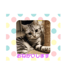 おーちゃん(*^O^*)（個別スタンプ：5）