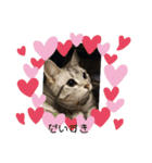 おーちゃん(*^O^*)（個別スタンプ：6）