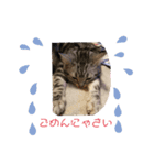 おーちゃん(*^O^*)（個別スタンプ：8）