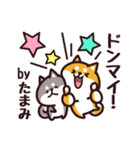 毎日使える！柴犬たまみ（個別スタンプ：19）